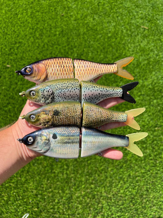 7.5" BB Shad