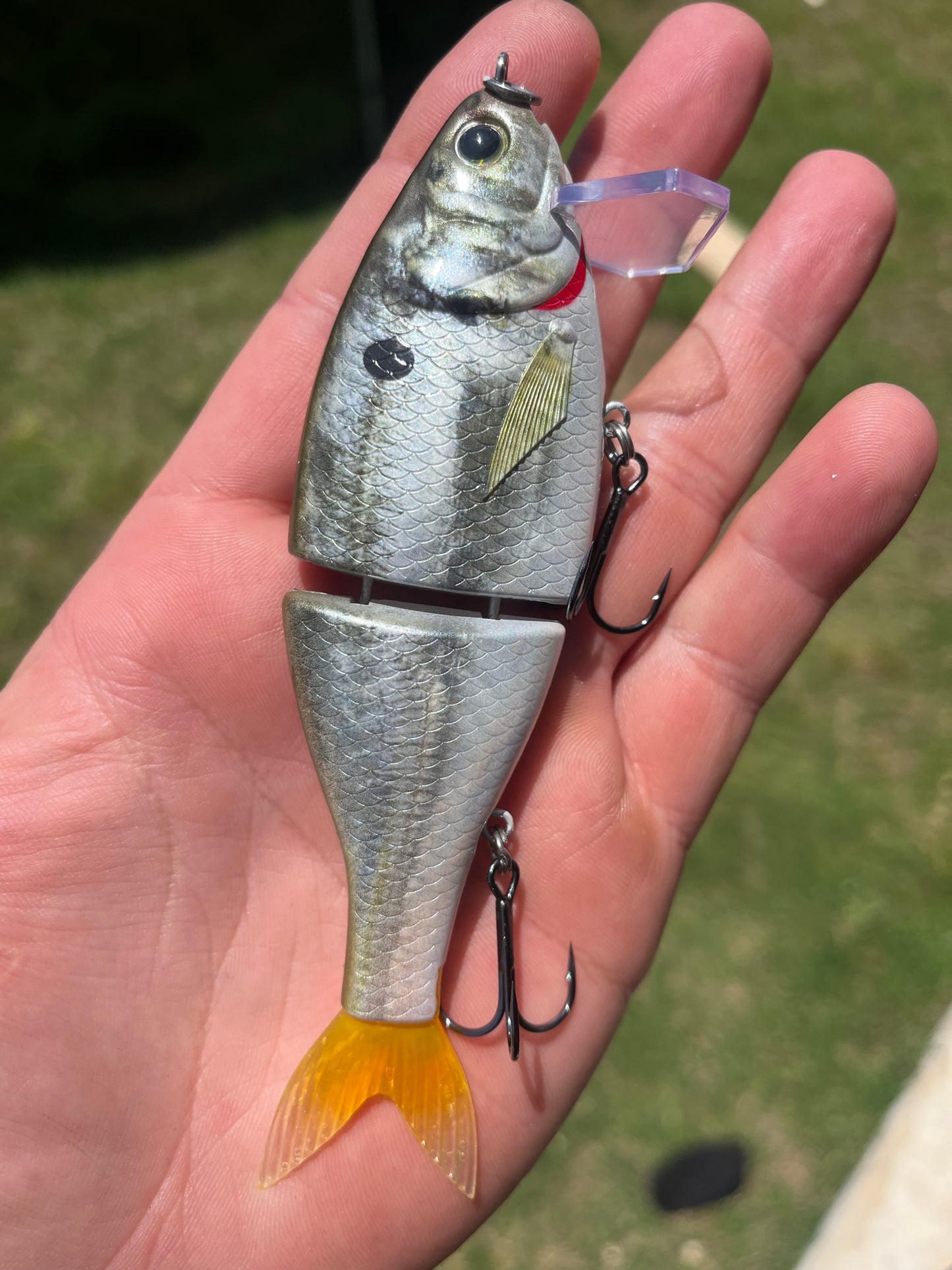 5.5" Mini Wake