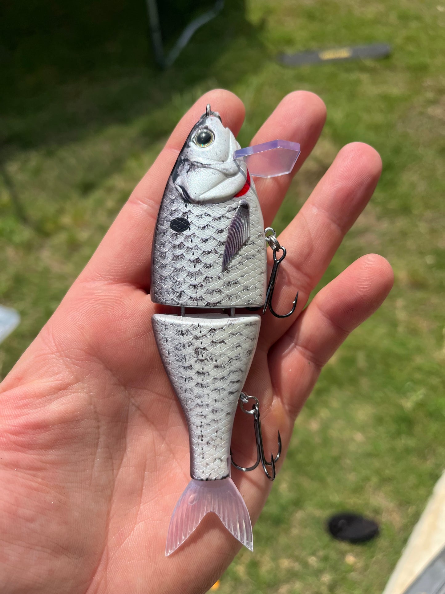 5.5" Mini Wake