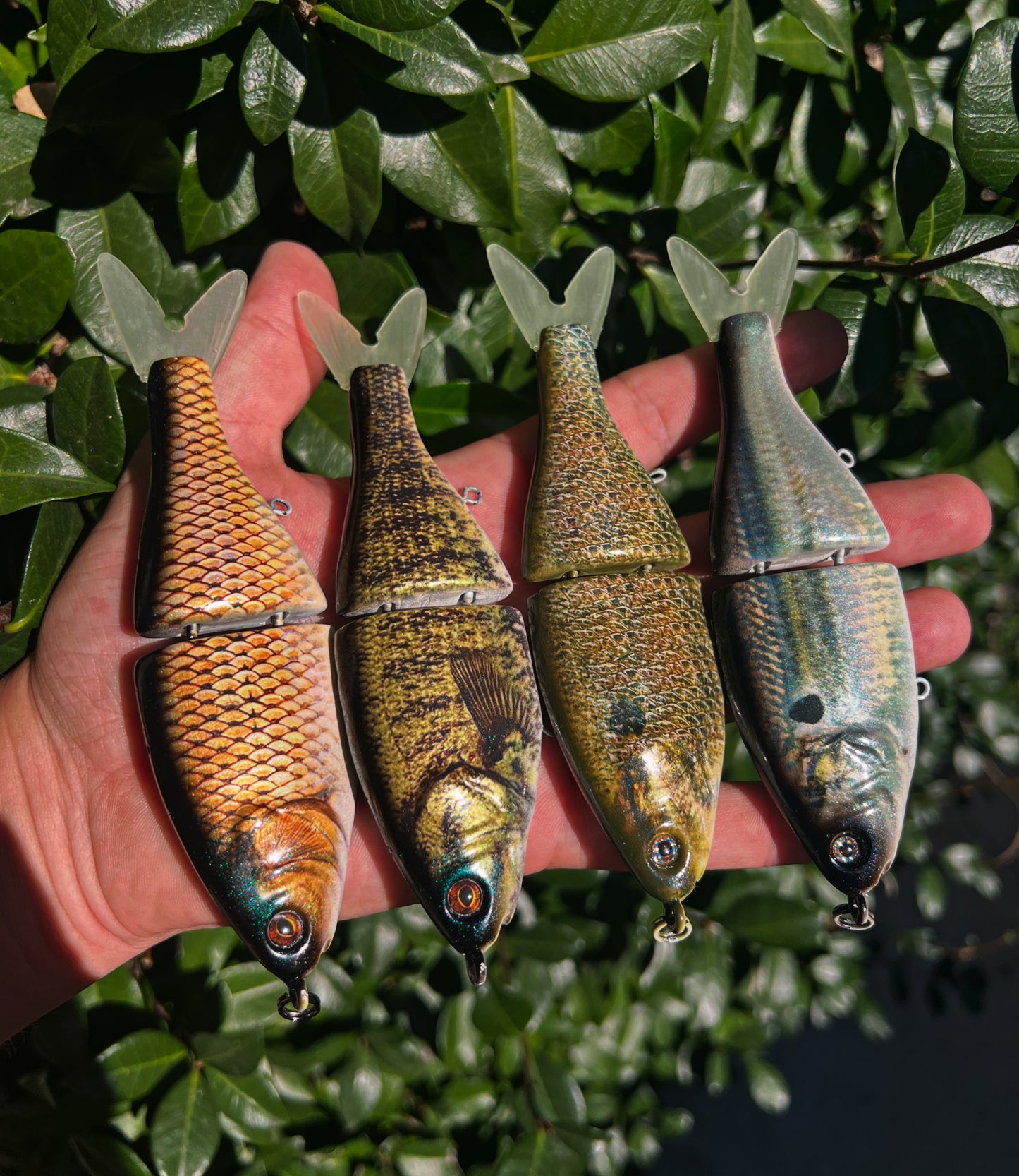 5.5” Mini BB Shad