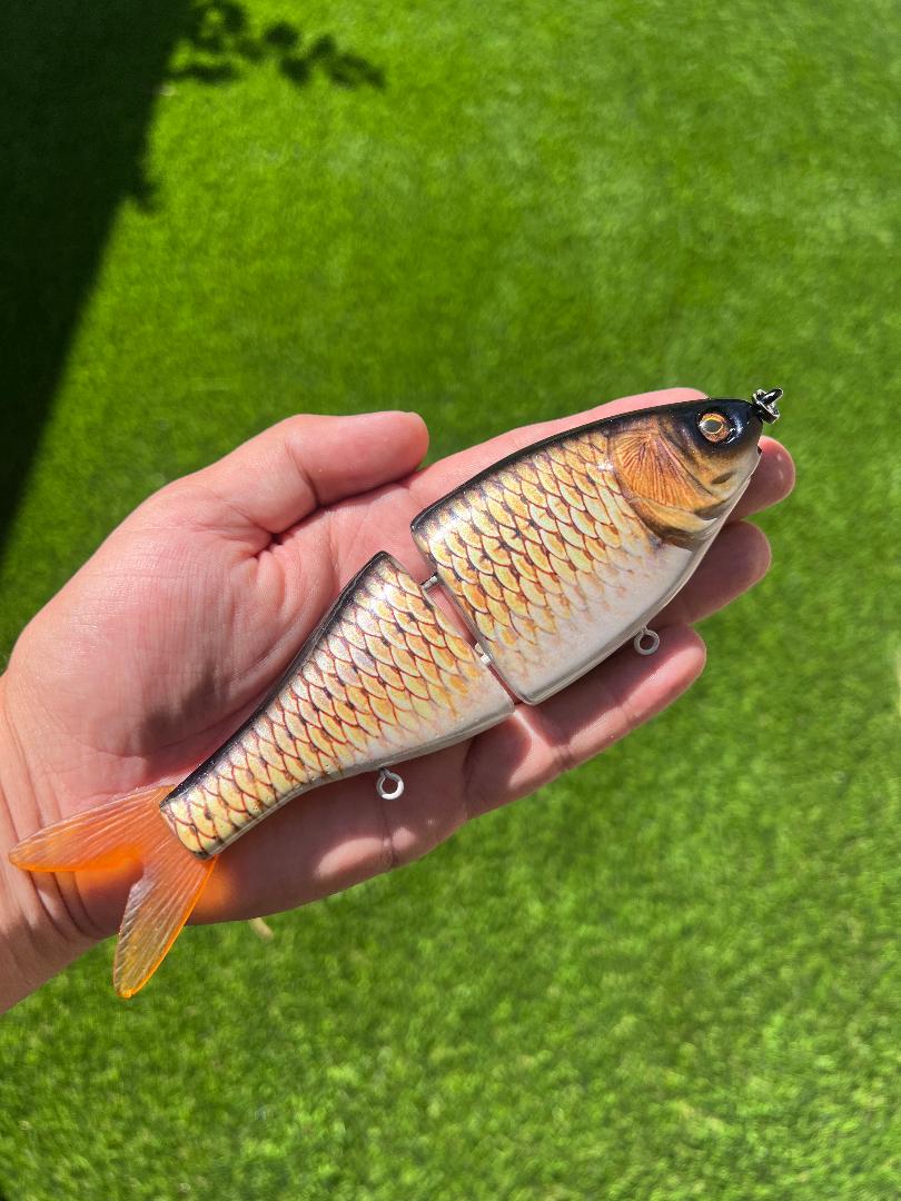 7.5" BB Shad