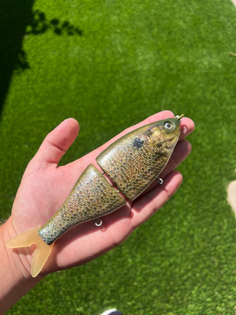 7.5" BB Shad